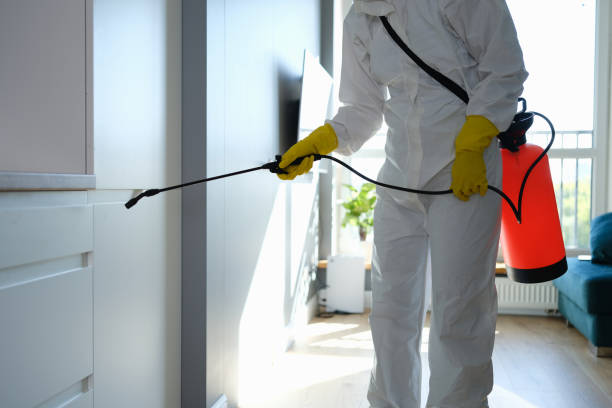 Best Industrial Mold Remediation in New York Mills, NY